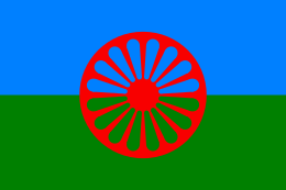 Immagine di RASID NIKOLIC